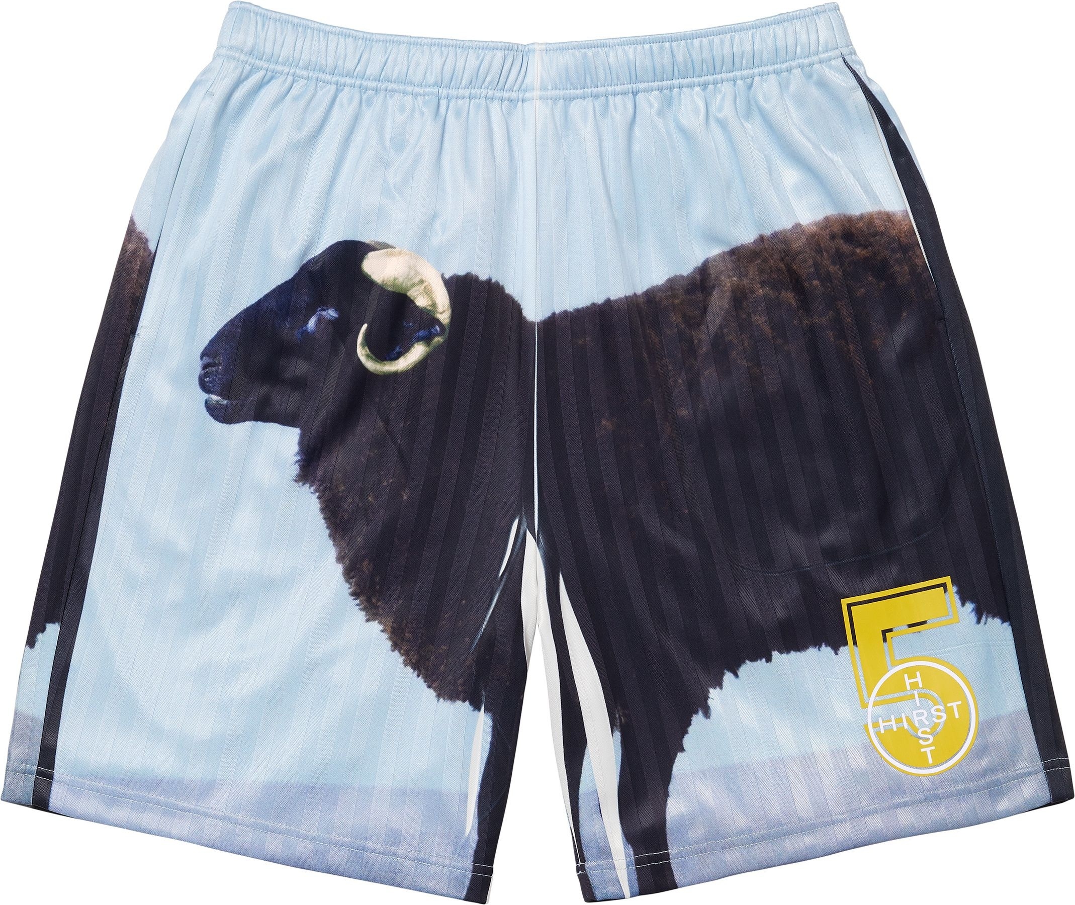 Supreme/Damien Hirst Soccer Short view 4
